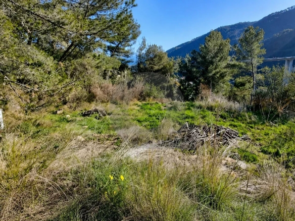 VENTE DE TERRAIN CONSTRUCTIBLE À GORBIO