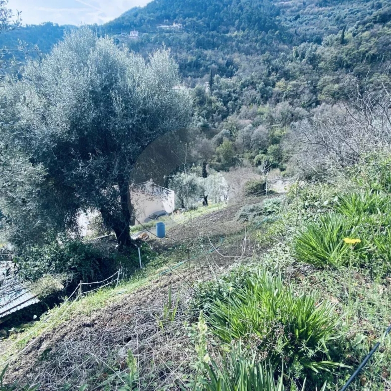 VENTE TERRAIN CONSTRUCTIBLE À GORBIO