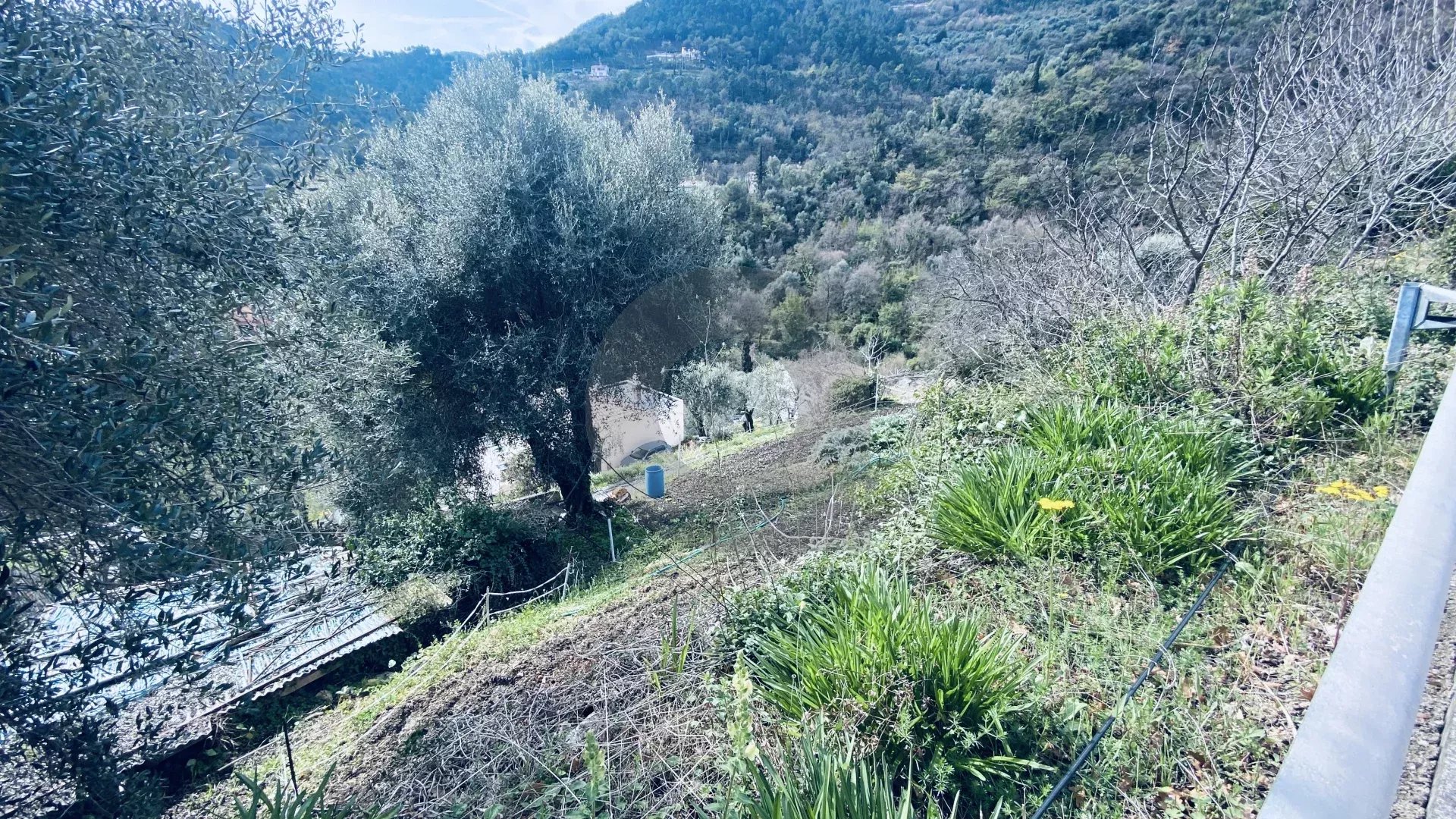 VENTE TERRAIN CONSTRUCTIBLE À GORBIO