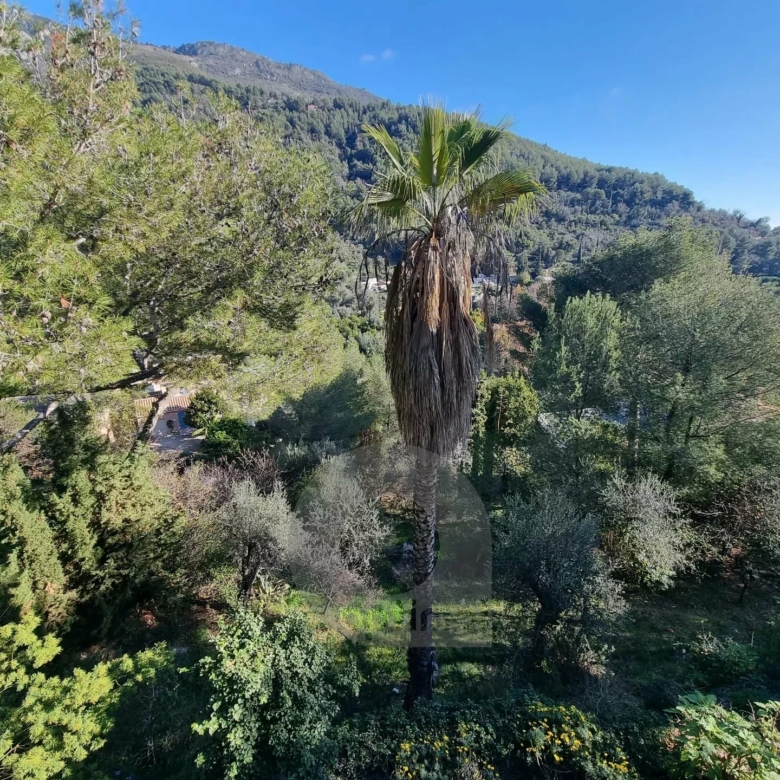 CASTELLAR – villa à 250 mètres de Menton