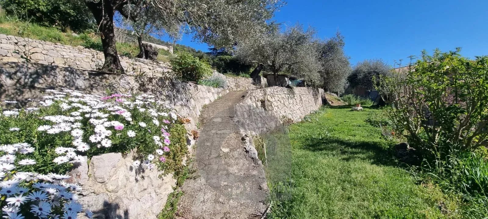 Propriété CASTELLAR villa 188 m² bassin terrain vue mer