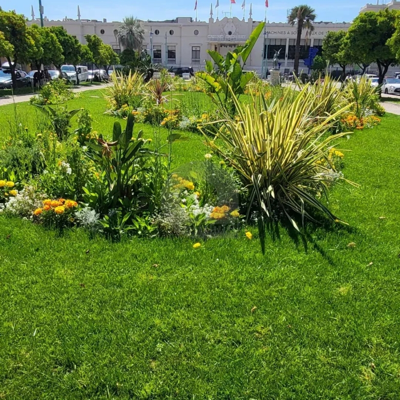 Menton Jardin Bioves – dernier étage –  Appartement triple exposition