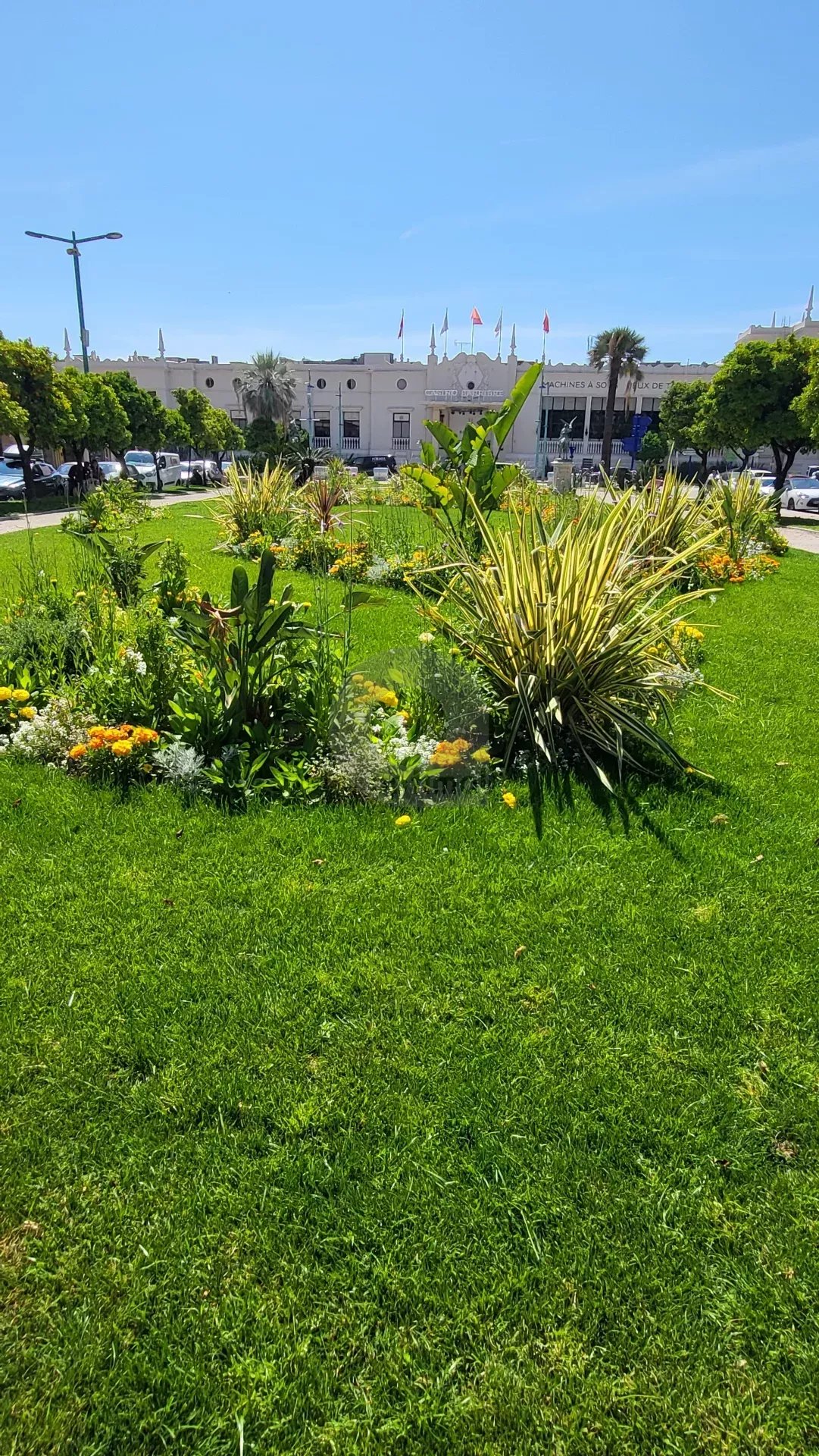 Menton Jardin Bioves – dernier étage –  Appartement triple exposition