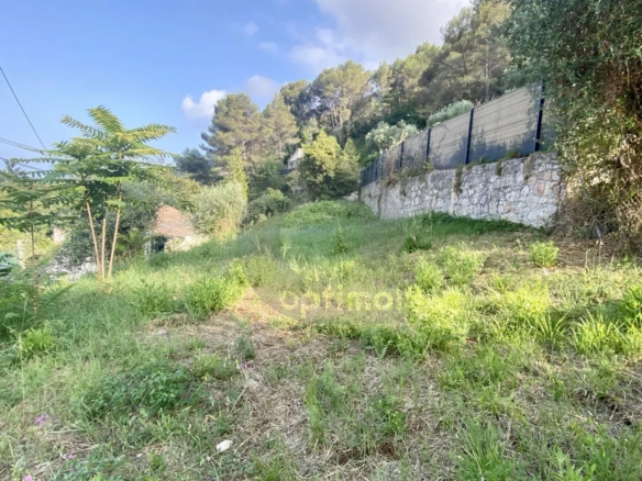VENTE TERRAIN  GORBIO