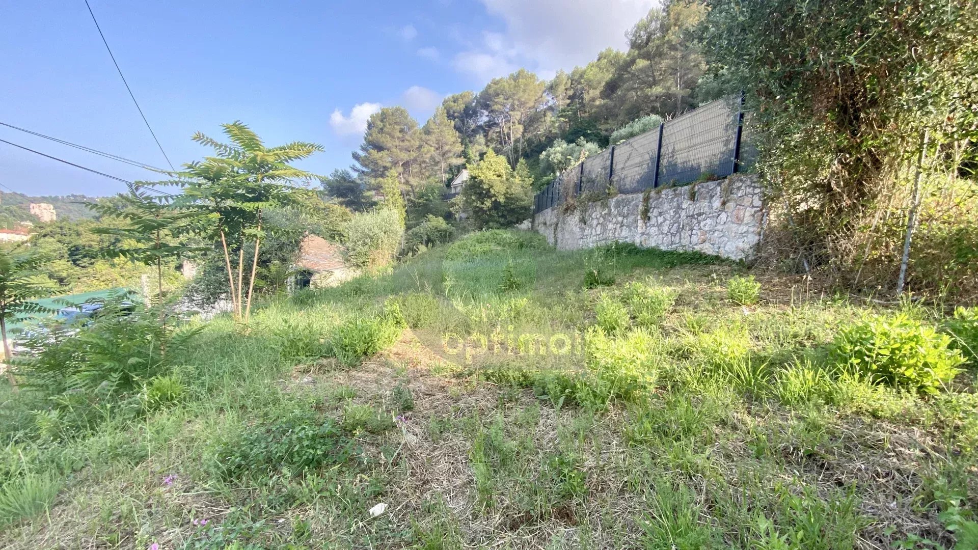 VENTE TERRAIN  GORBIO