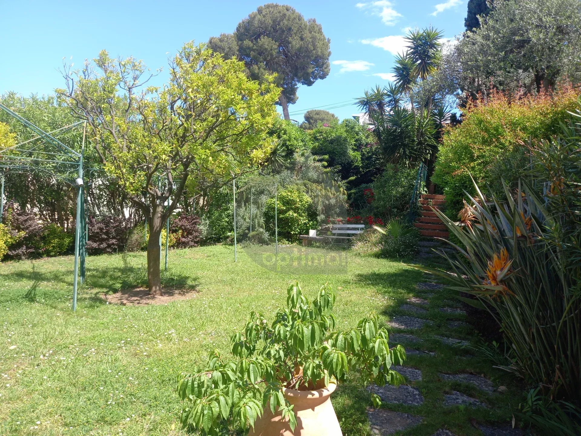 Superbe Maison au Plateau du Cap Martin