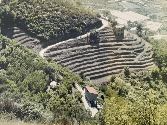 Terrain constructible