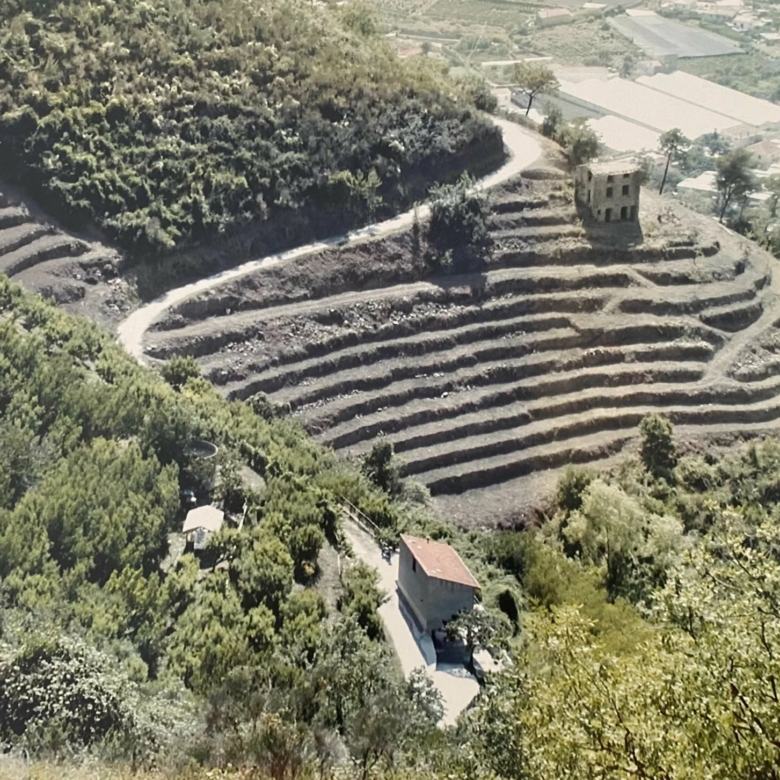 Terrain constructible