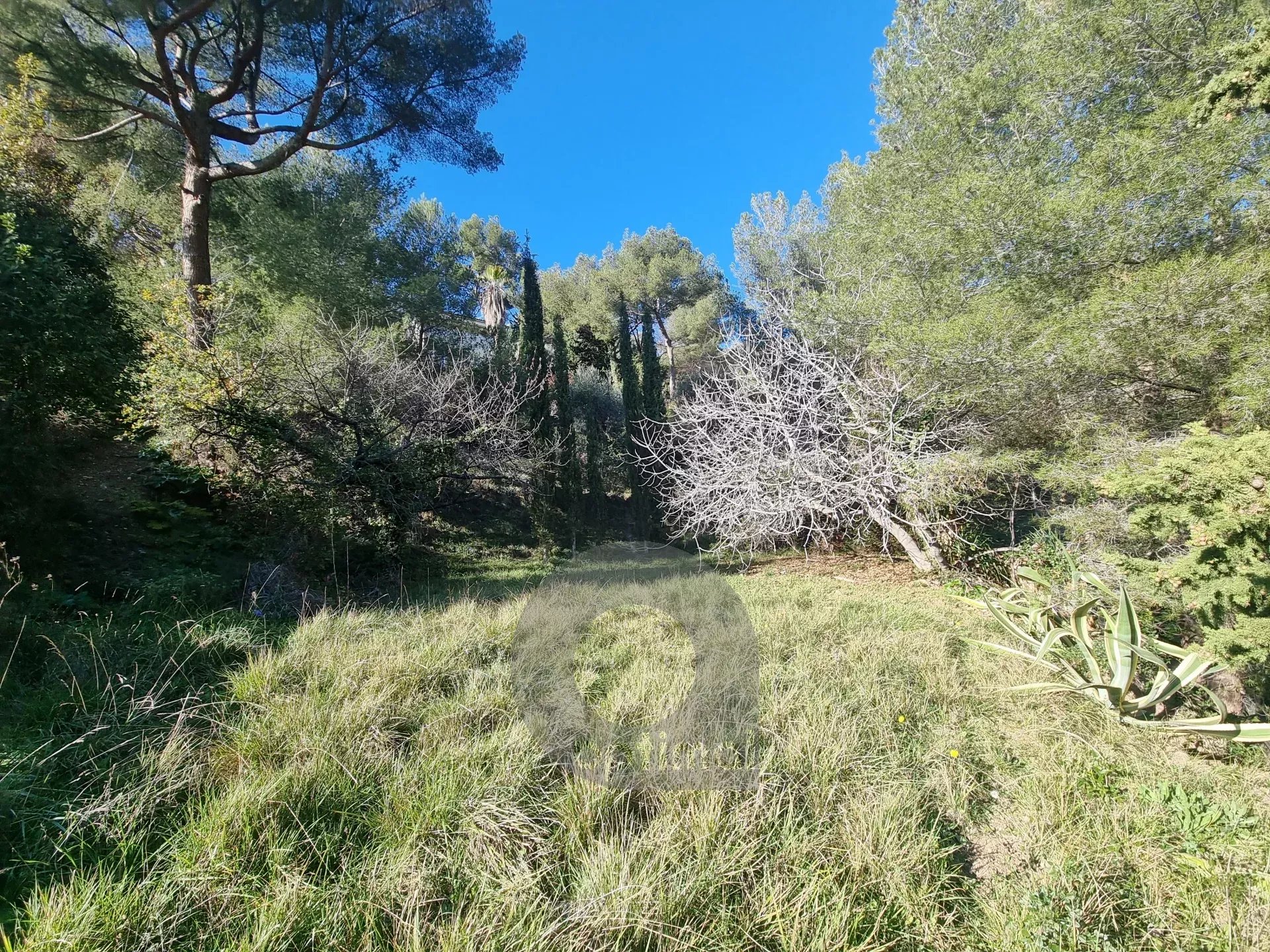CASTELLAR – villa à 250 mètres de Menton