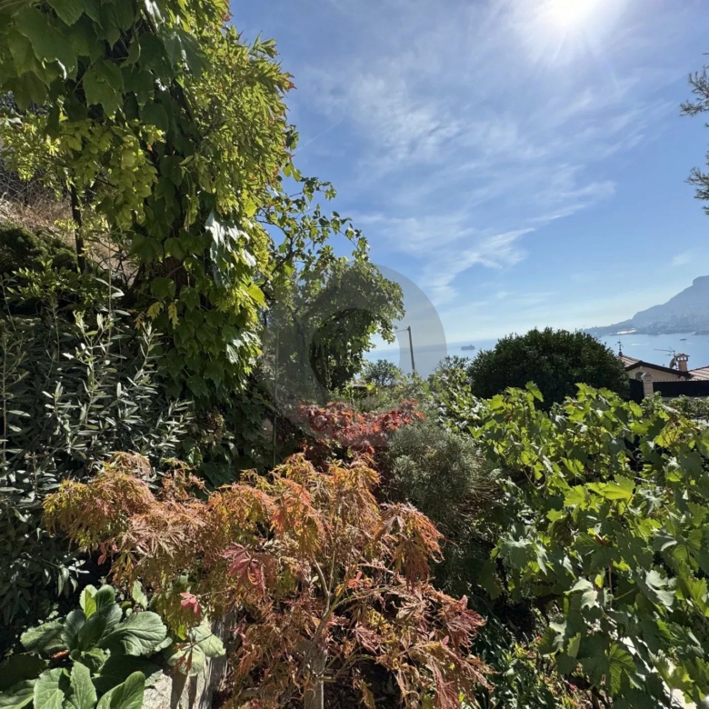 VILLA ROQUEBRUNE VUE MER EXCELLENT ÉTAT TERRASSE JARDIN GARAGE