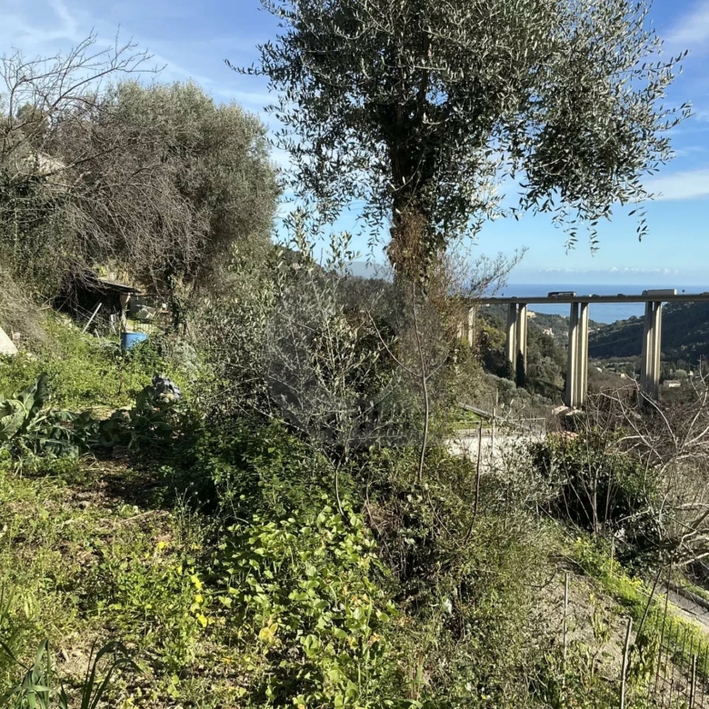 VENTE TERRAIN CONSTRUCTIBLE À GORBIO