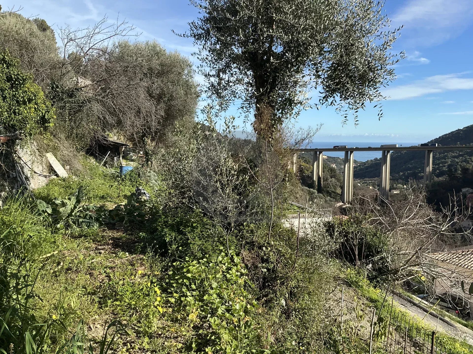 VENTE TERRAIN CONSTRUCTIBLE À GORBIO