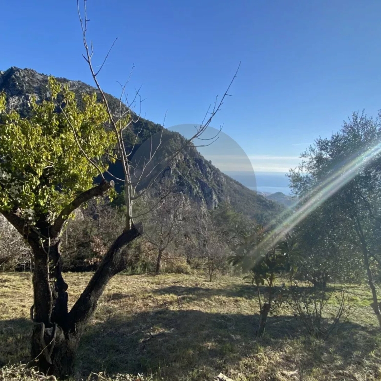 Terrain Non Constructible à Gorbio: Vue Panoramique