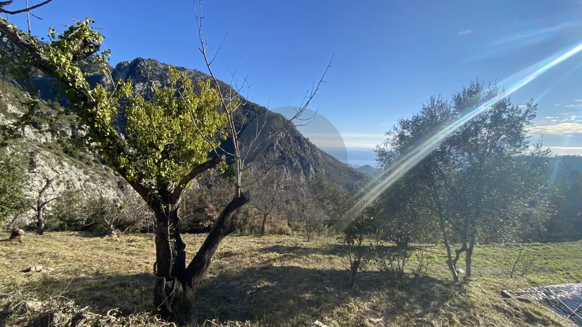 Terrain Non Constructible à Gorbio: Vue Panoramique
