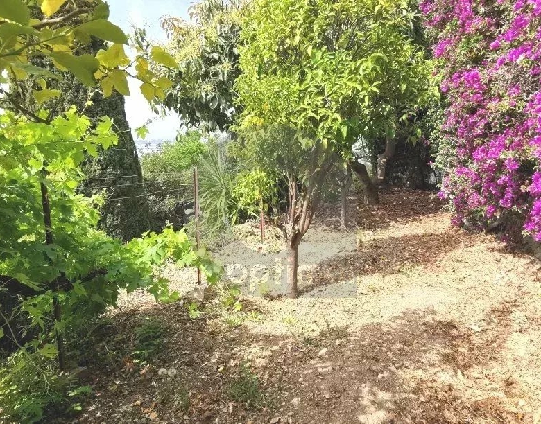 Roquebrune Cap-Martin : Villa 160 m² habitable avec vue panoramique mer et Monaco: