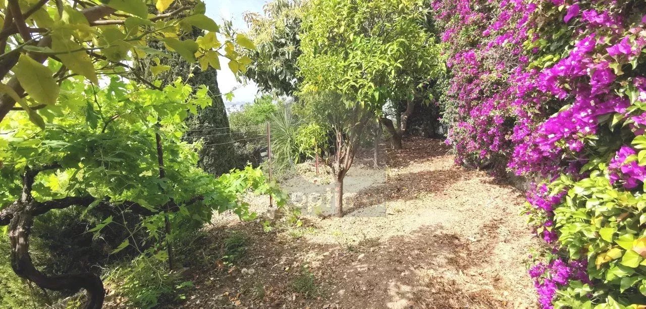 Roquebrune Cap-Martin : Villa 160 m² habitable avec vue panoramique mer et Monaco: