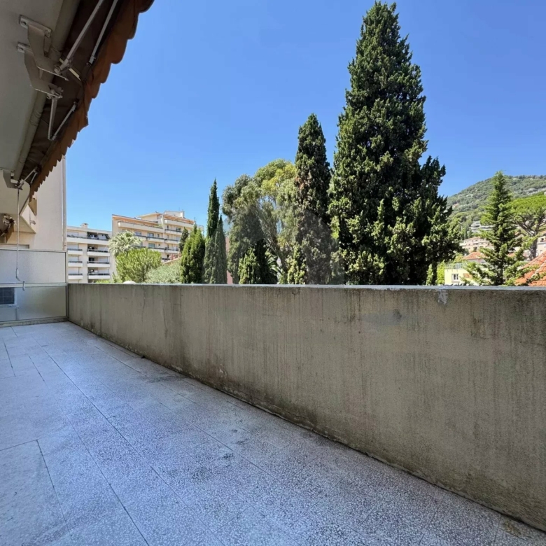 ROQUEBRUNE 2 PIÈCES GRANDE TERRASSE CENTRE VILLE