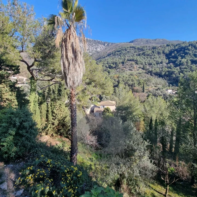 CASTELLAR – villa à 250 mètres de Menton