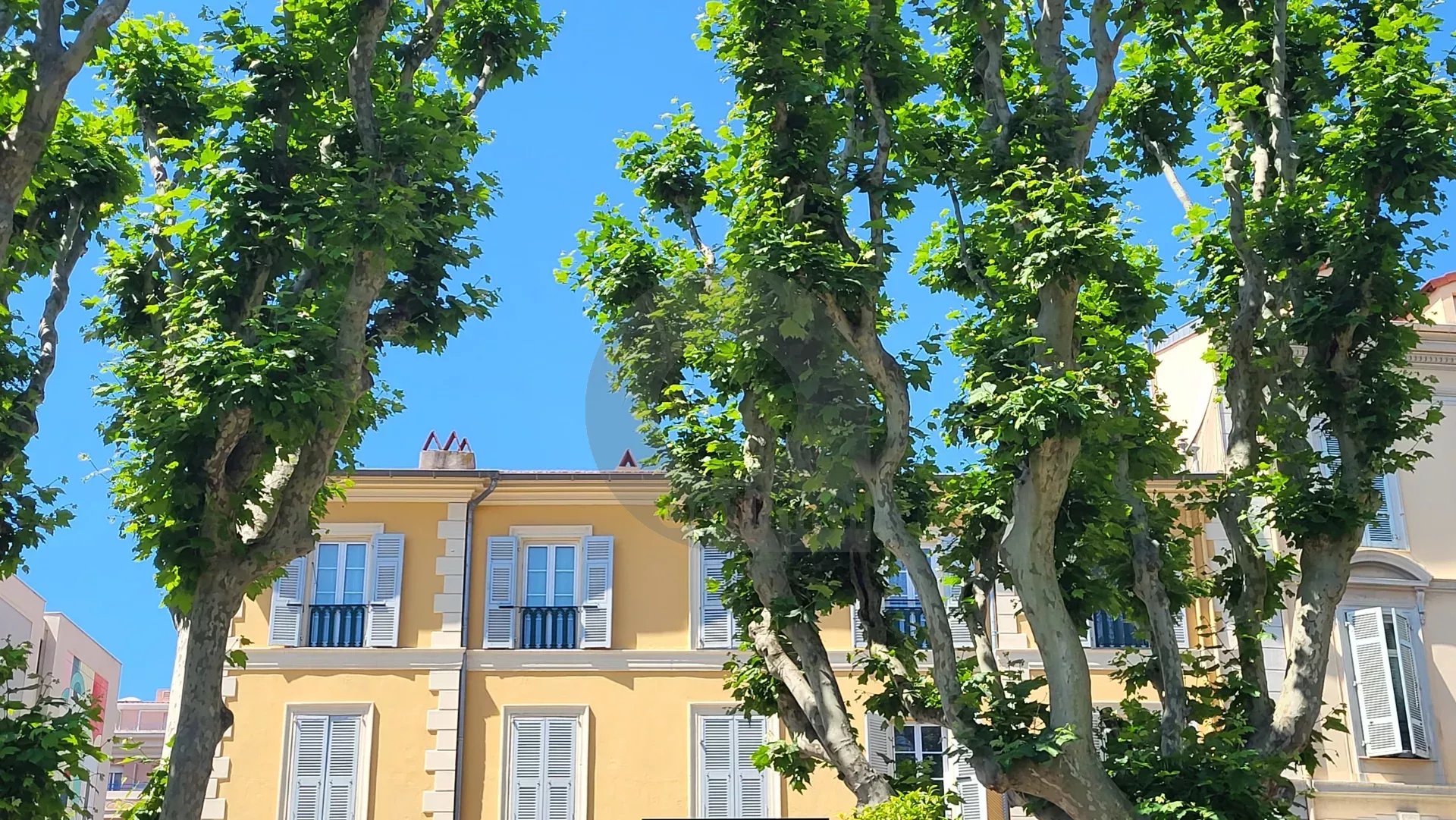 Menton Jardin Bioves – dernier étage –  Appartement triple exposition