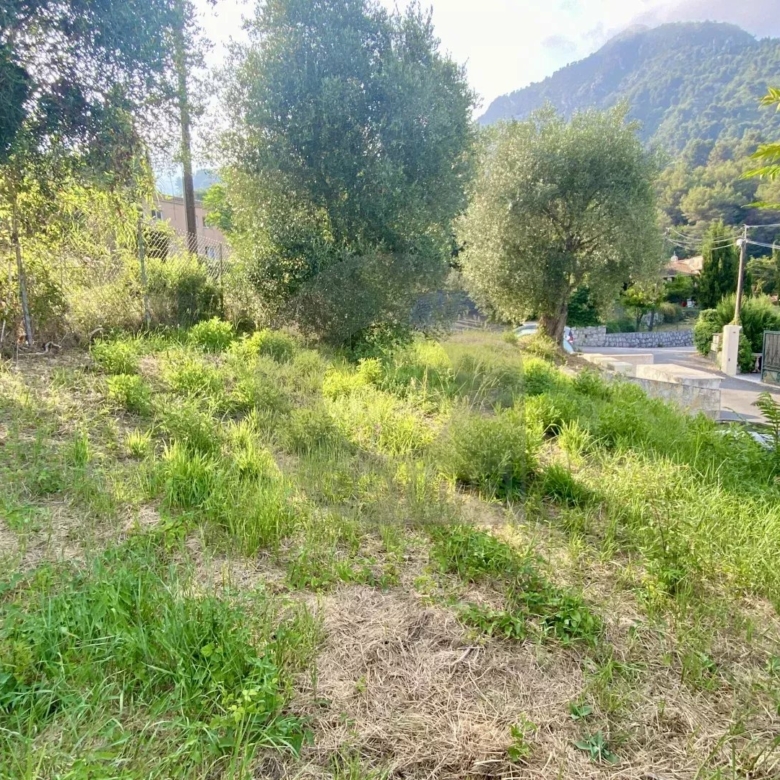 VENTE TERRAIN  GORBIO