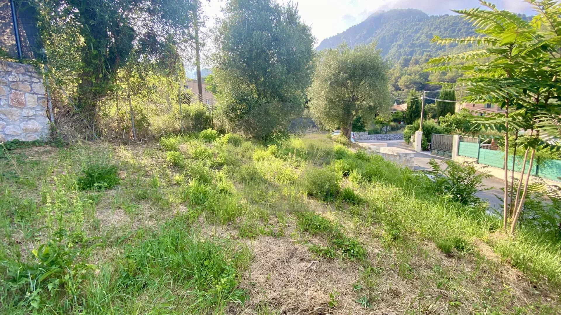 VENTE TERRAIN  GORBIO