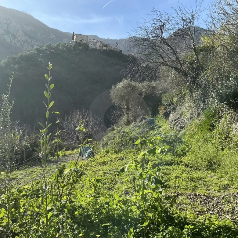 VENTE TERRAIN CONSTRUCTIBLE À GORBIO