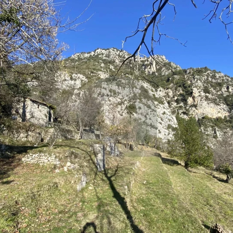 Terrain Non Constructible à Gorbio: Vue Panoramique