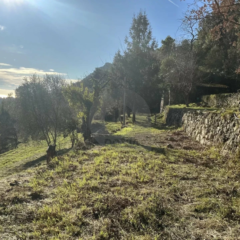 Terrain Non Constructible à Gorbio: Vue Panoramique