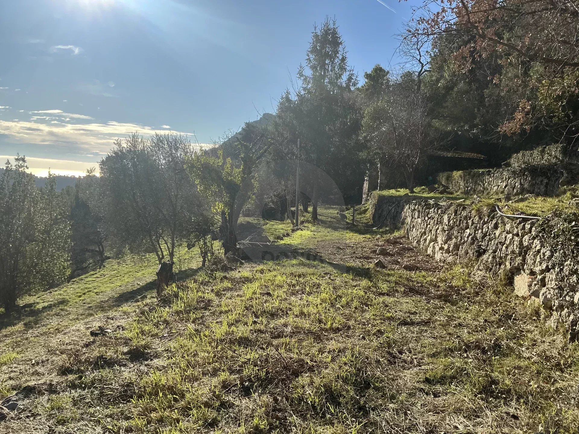 Terrain Non Constructible à Gorbio: Vue Panoramique