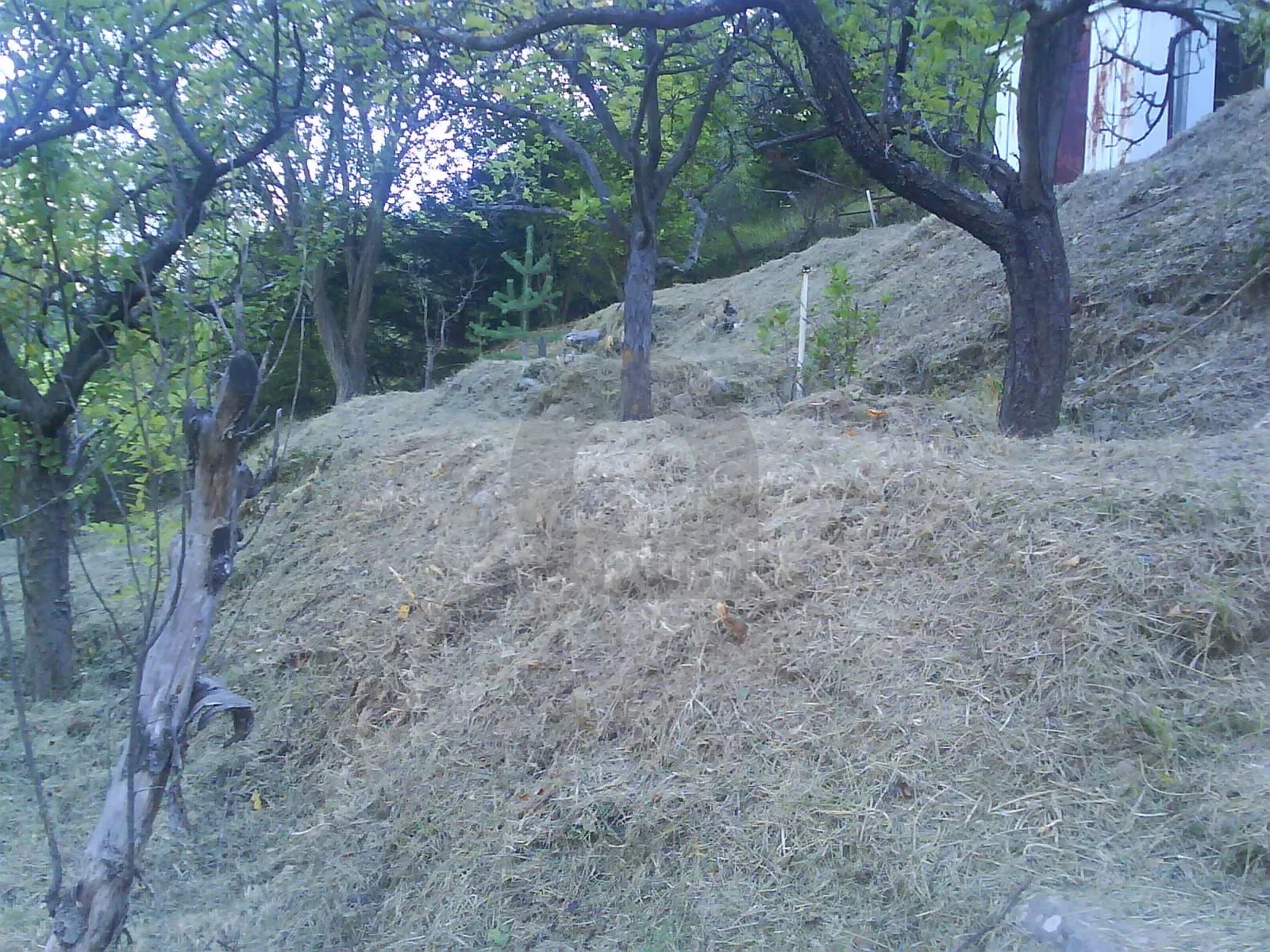 Maison de village et terrain à La Brigue
