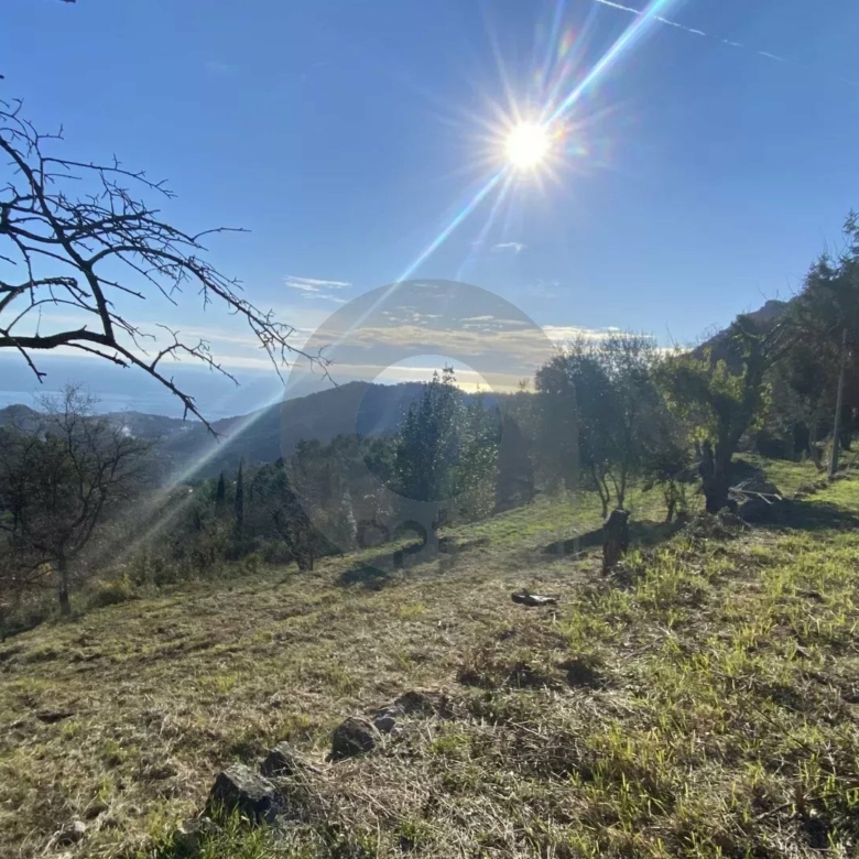 Terrain Non Constructible à Gorbio: Vue Panoramique
