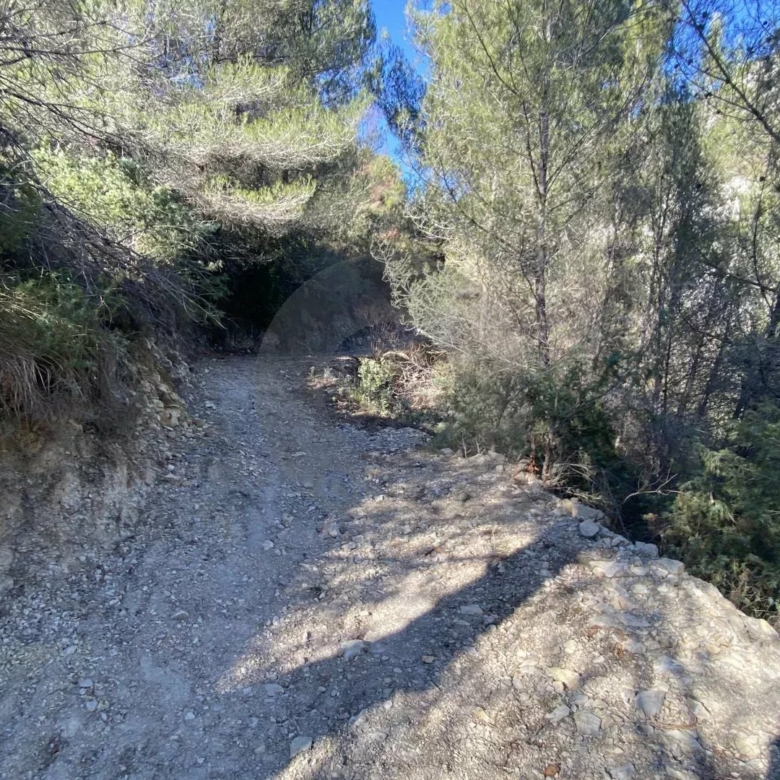 Terrain Non Constructible à Gorbio: Vue Panoramique