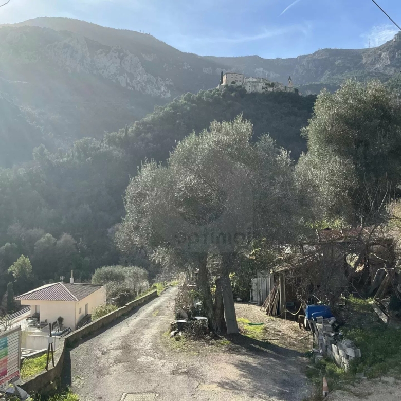 VENTE TERRAIN CONSTRUCTIBLE À GORBIO