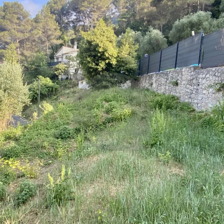 VENTE TERRAIN  GORBIO