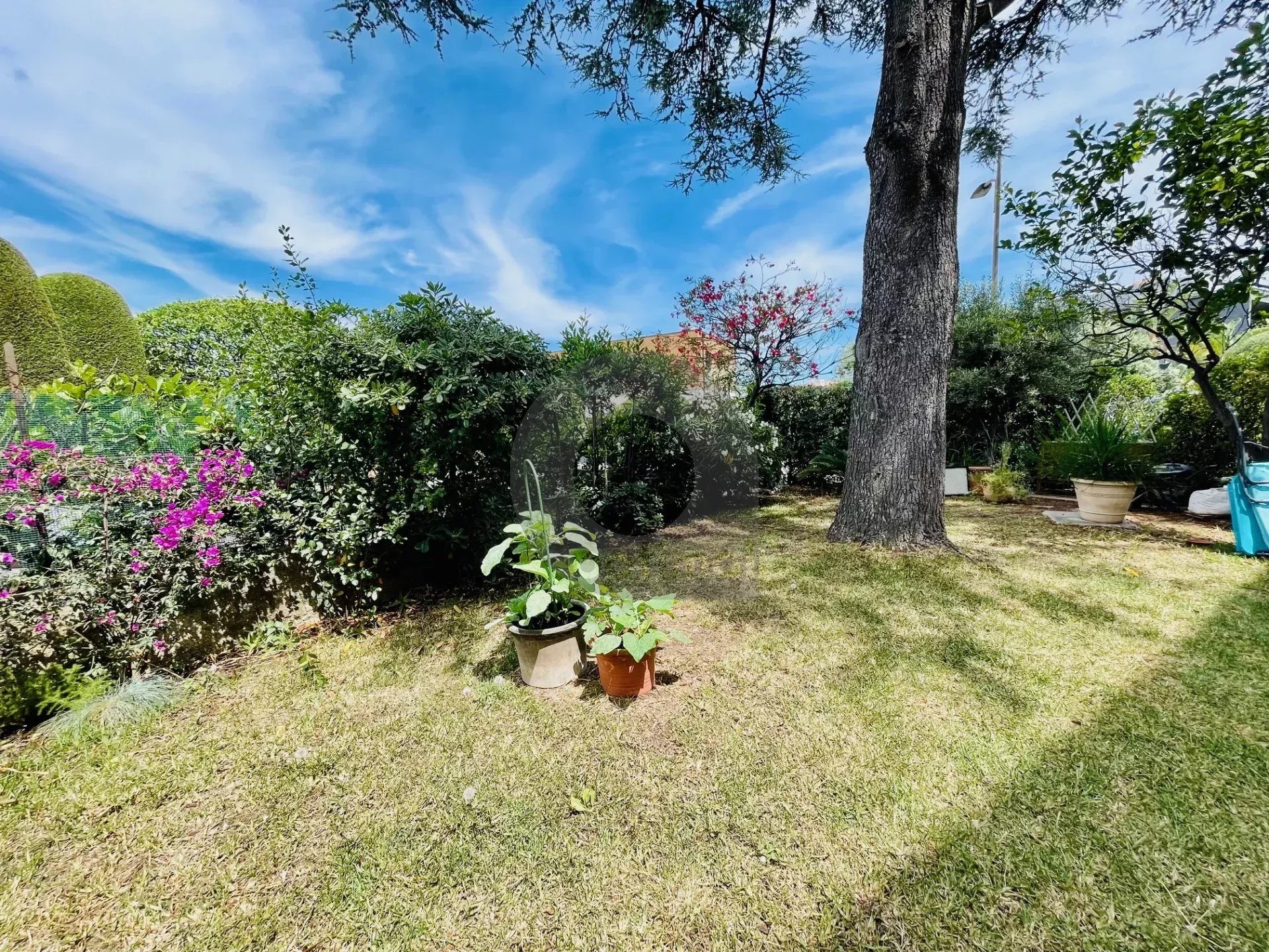 3 pièces plateau du Cap Martin avec JARDIN