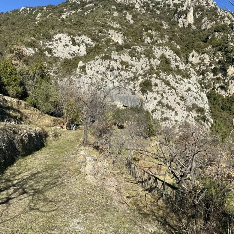 Terrain Non Constructible à Gorbio: Vue Panoramique