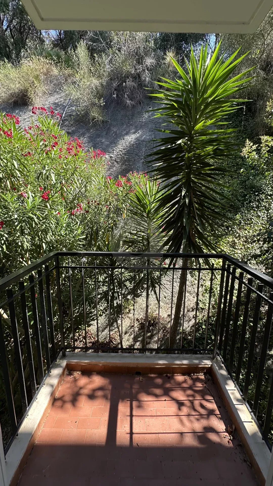 MENTON – TERRES CHAUDES: APPARTEMENT 2P AVEC VUE MER PANORAMIQUE –  GARAGE et CAVE