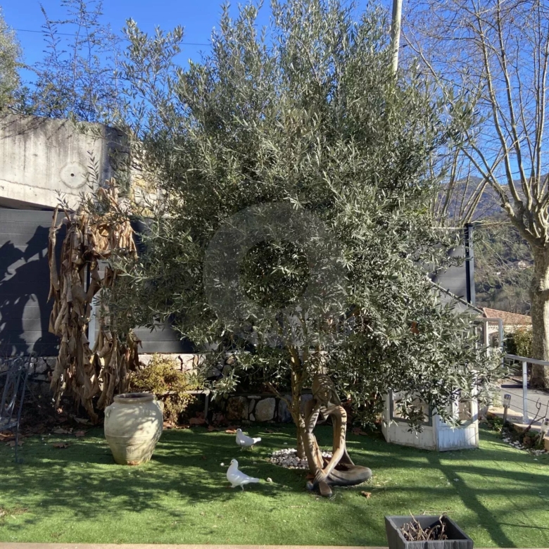 A VENDRE – BELLE MAISON AU CALME CADRE VERDOYANT
