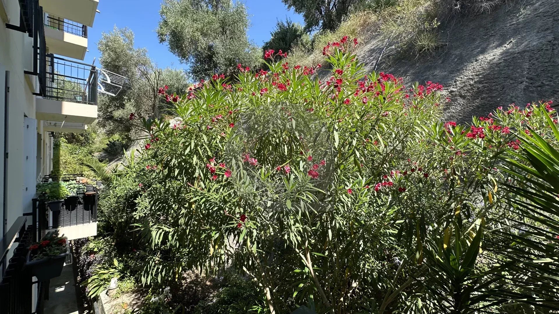 MENTON – TERRES CHAUDES: APPARTEMENT 2P AVEC VUE MER PANORAMIQUE –  GARAGE et CAVE