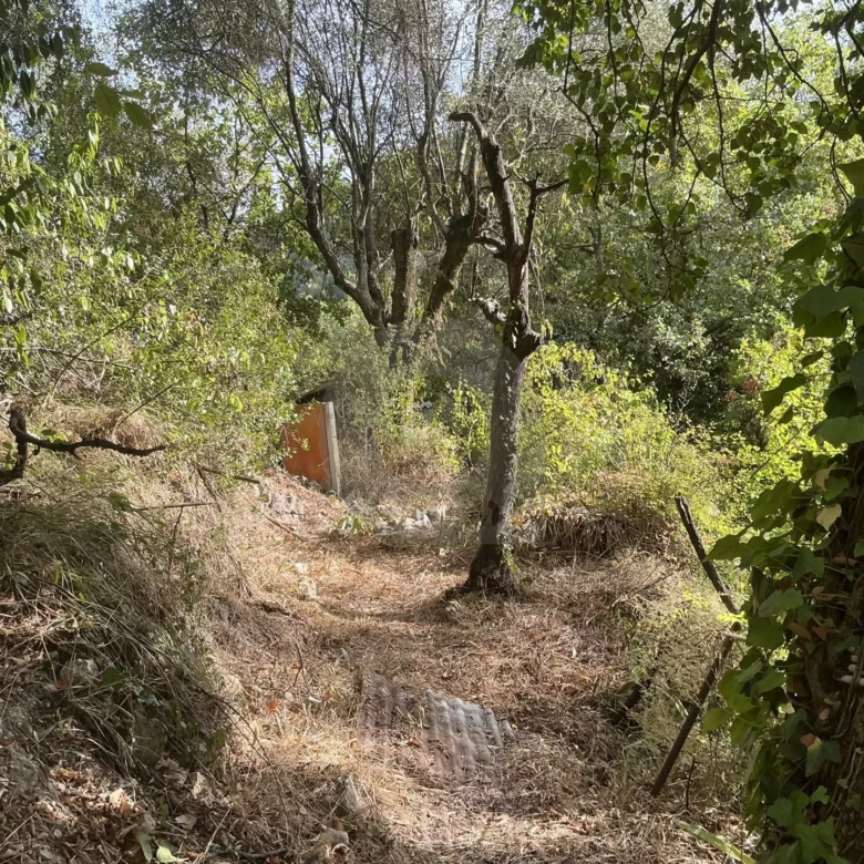 VENTE TERRAIN INCONSTRUCTIBLE GORBIO