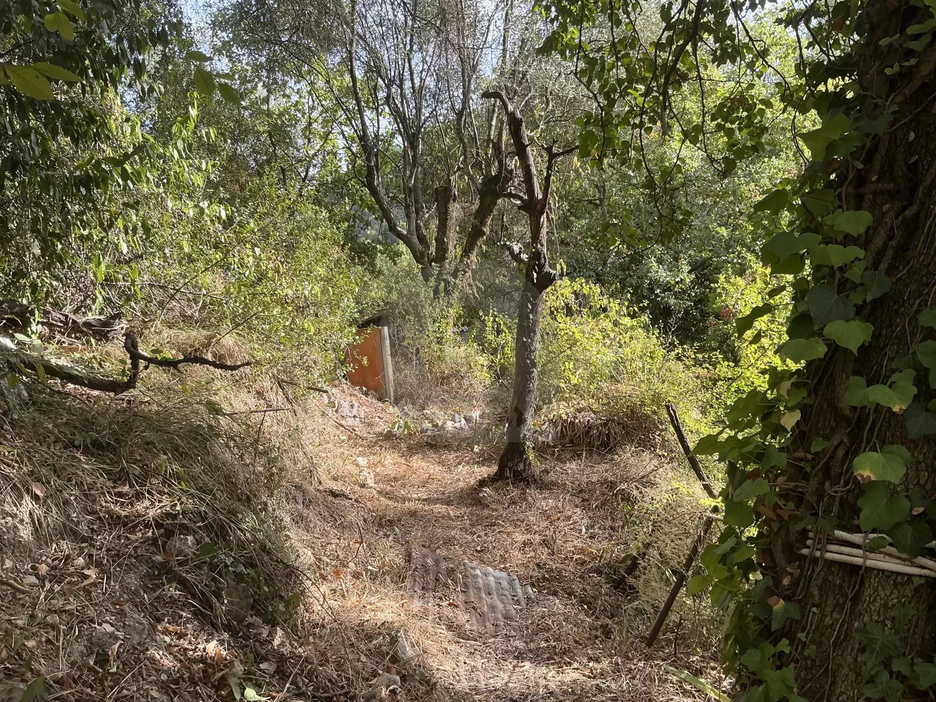 VENTE TERRAIN INCONSTRUCTIBLE GORBIO