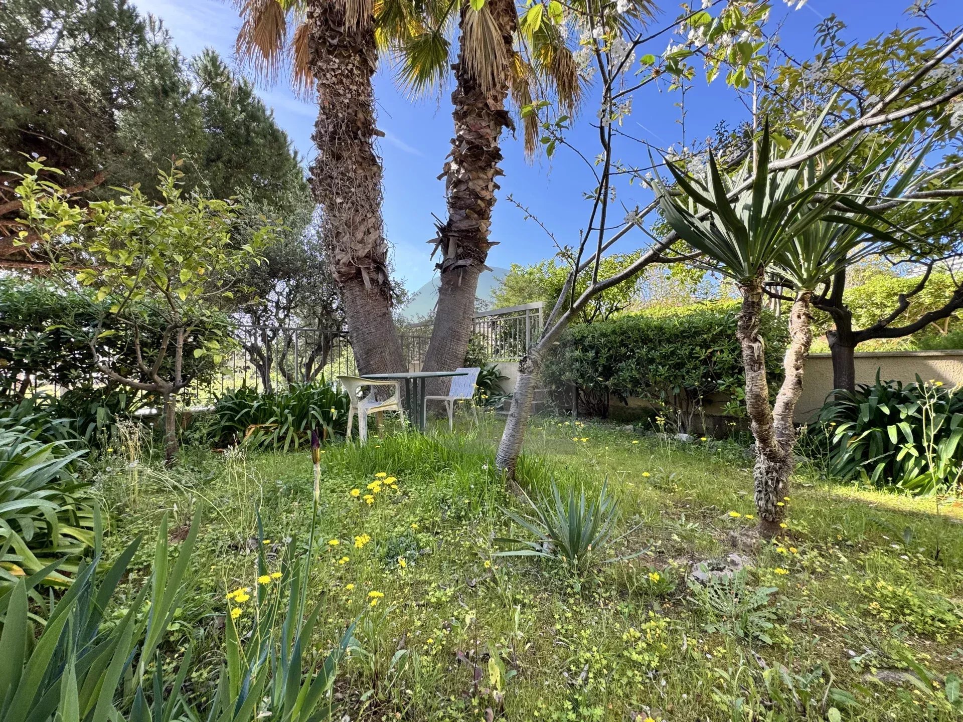 8c348a1ae84a5d3902ded64fe097db39_8411081b00_1920-original-172149-0.jpg ROQUEBRUNE 3 PIÈCES CENTRE VILLE JARDIN PARKING CALME