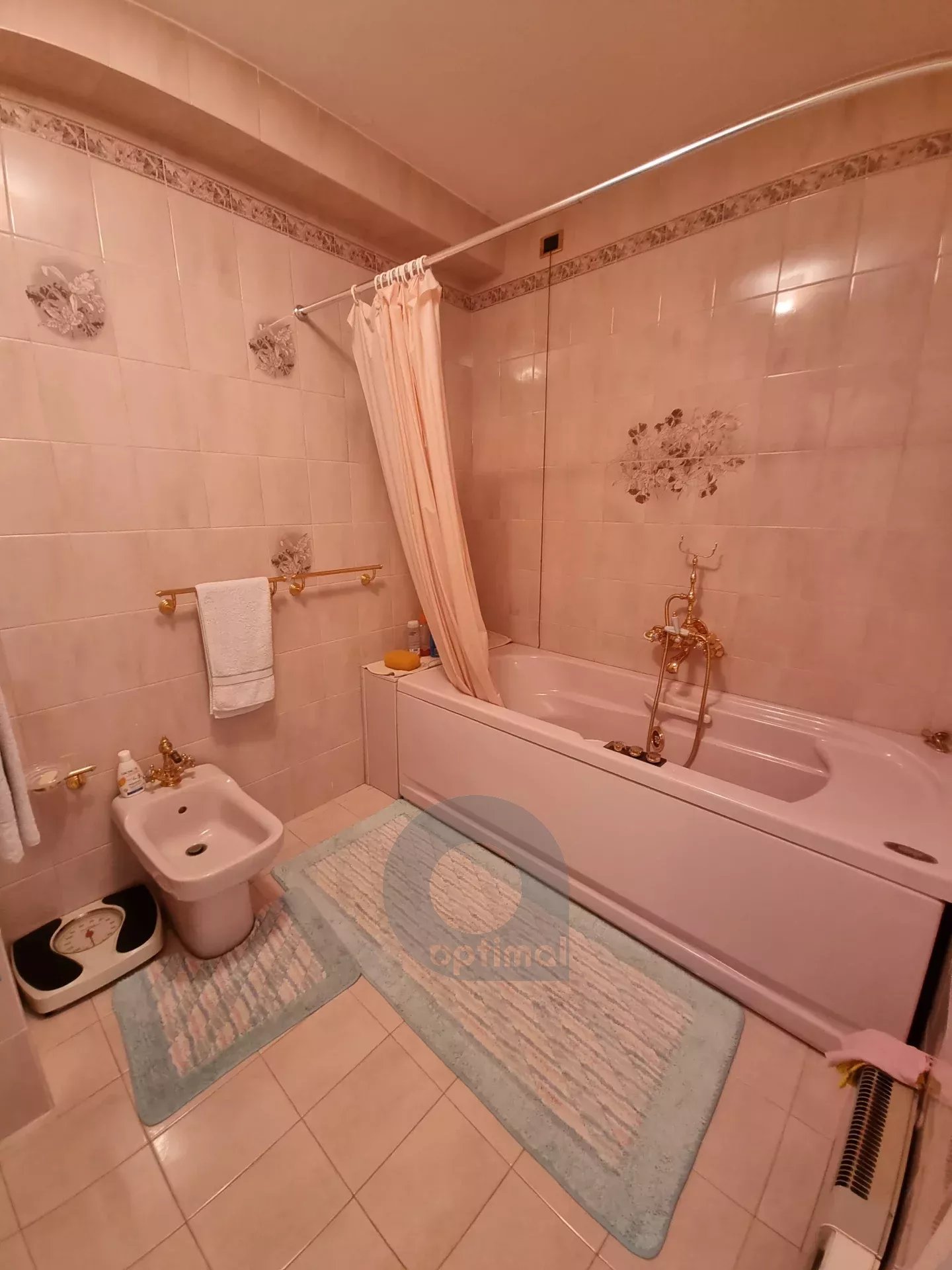 MENTON GARAVAN appartement terrasse front de mer