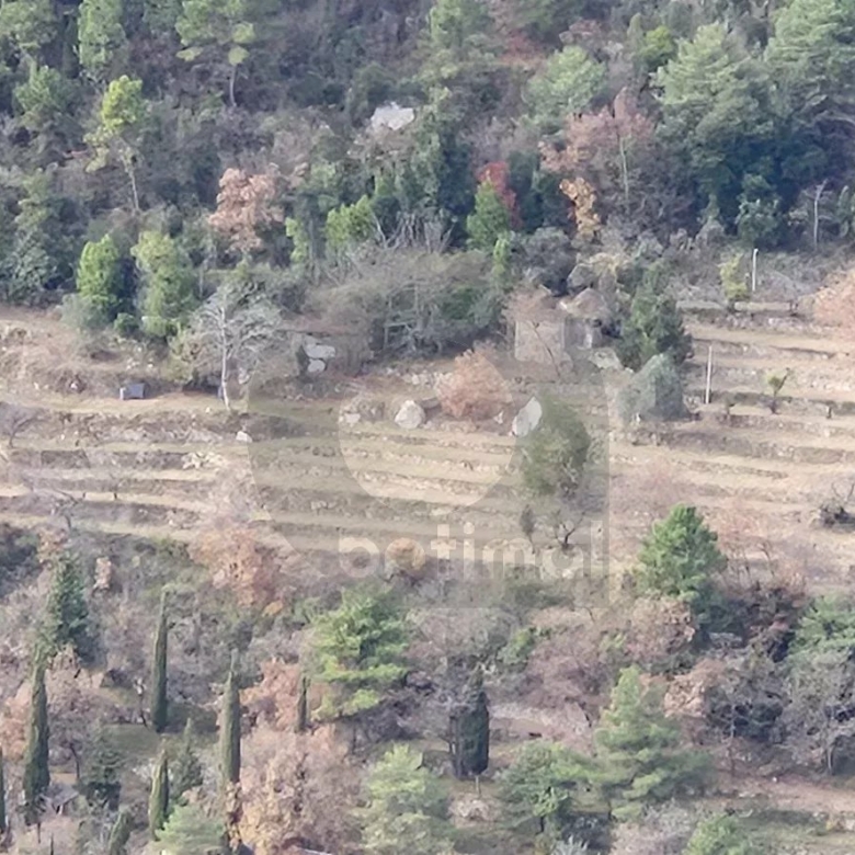 Terrain Non Constructible à Gorbio: Vue Panoramique