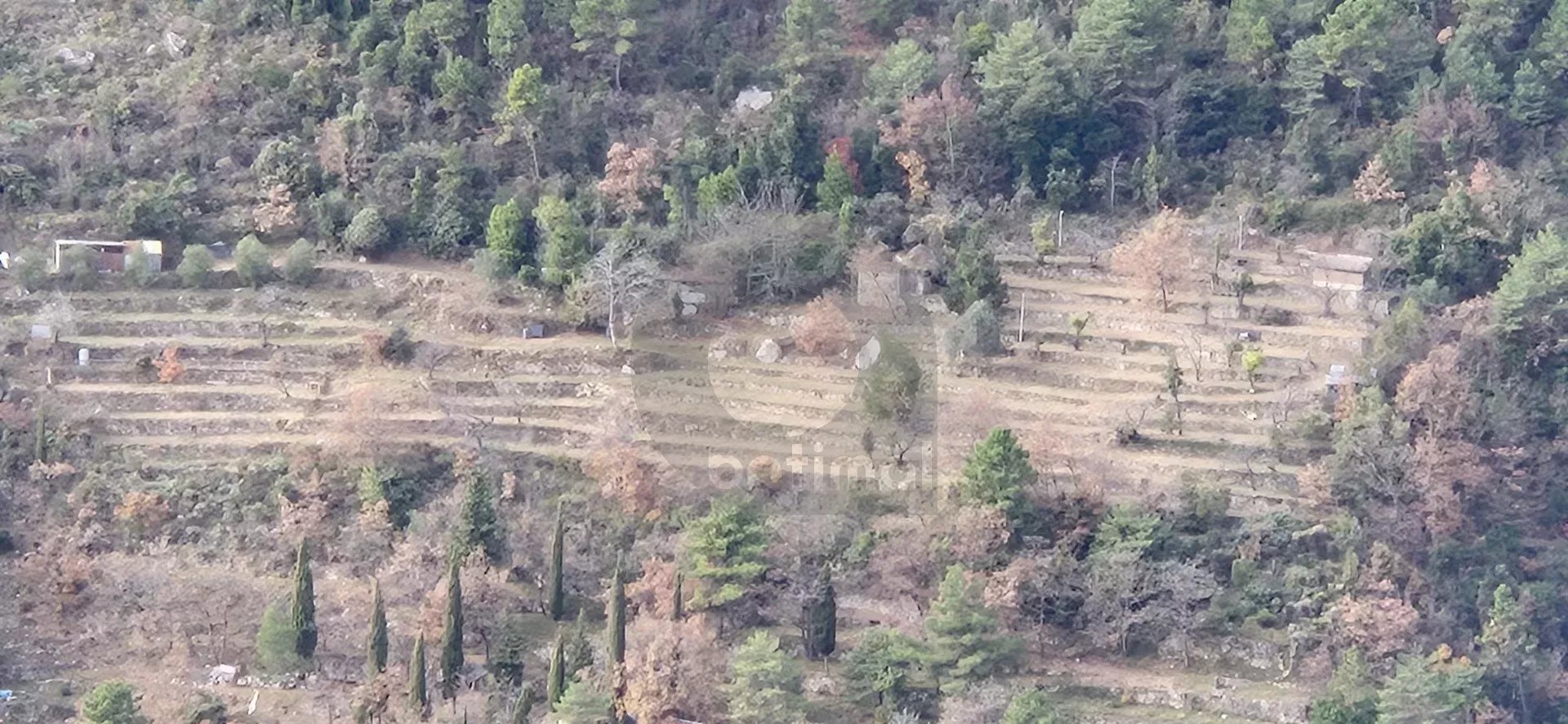 Terrain Non Constructible à Gorbio: Vue Panoramique