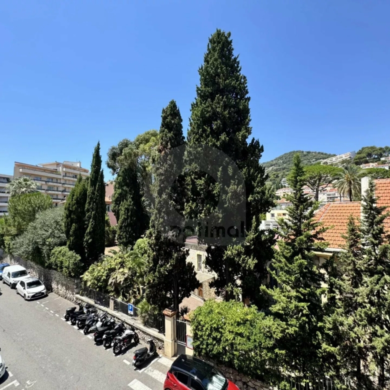 ROQUEBRUNE 2 PIÈCES GRANDE TERRASSE CENTRE VILLE