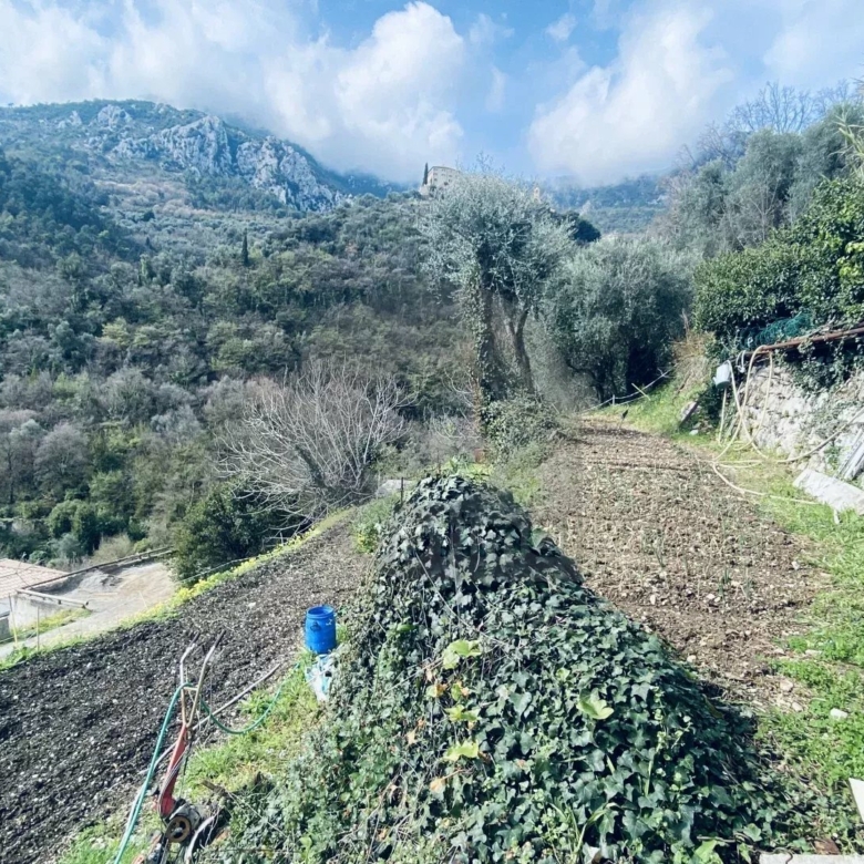VENTE TERRAIN CONSTRUCTIBLE À GORBIO
