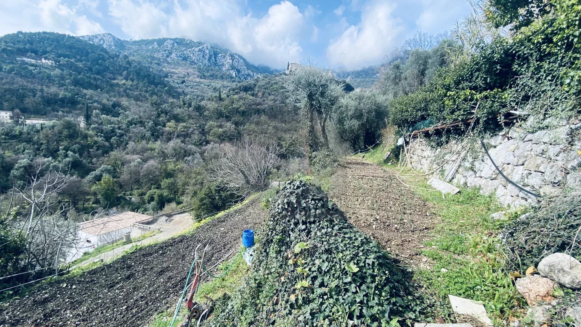 VENTE TERRAIN CONSTRUCTIBLE À GORBIO