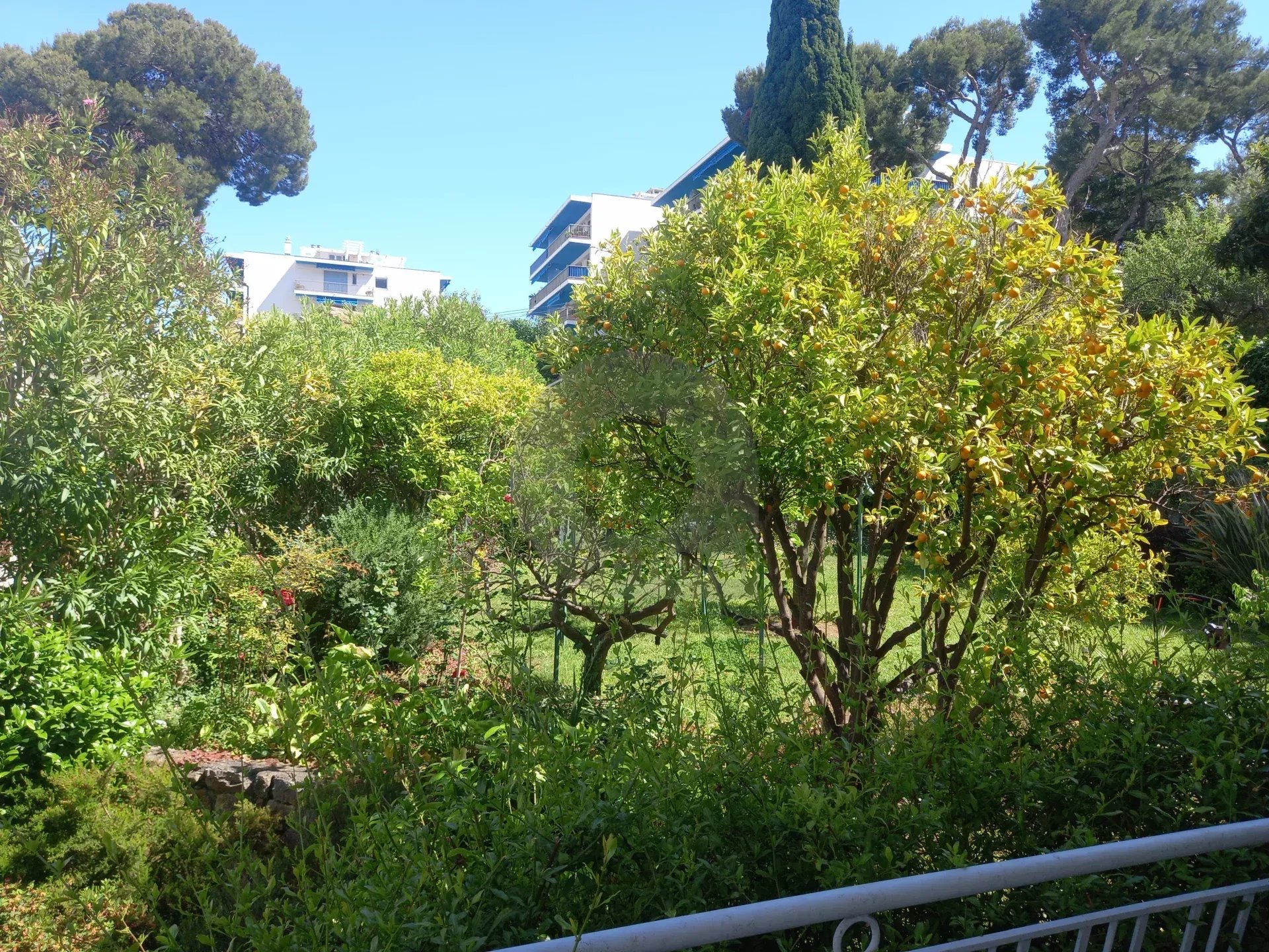 Superbe Maison au Plateau du Cap Martin