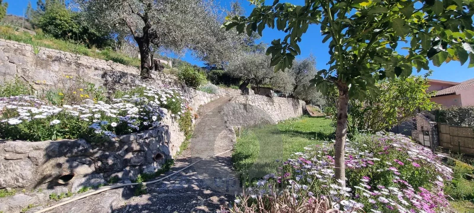 Propriété CASTELLAR villa 188 m² bassin terrain vue mer